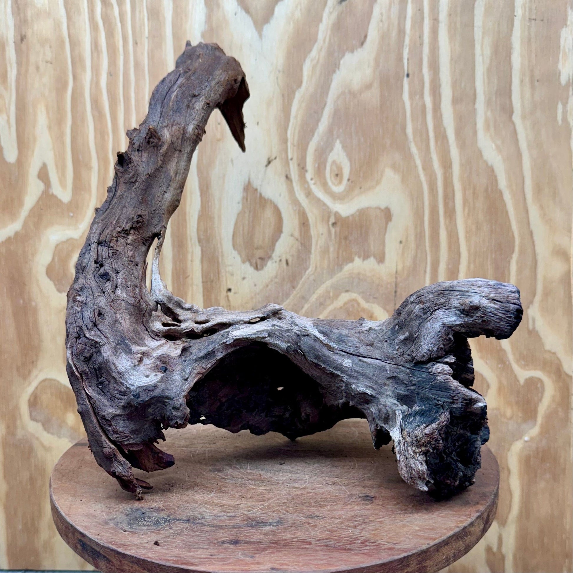 Reptile Realm Natural Wood Natural Wood Piece B