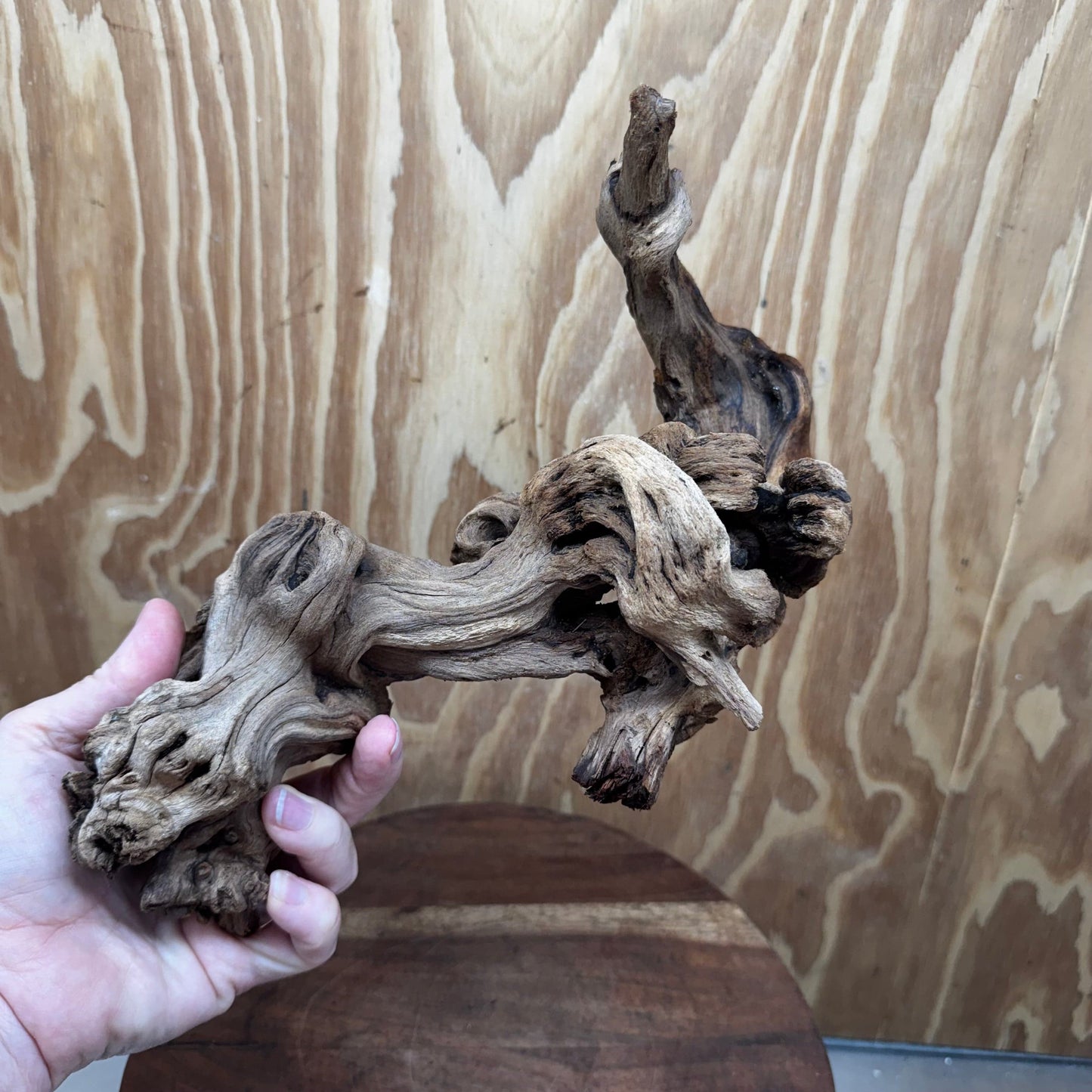 Reptile Realm Natural Wood Natural Wood Piece B