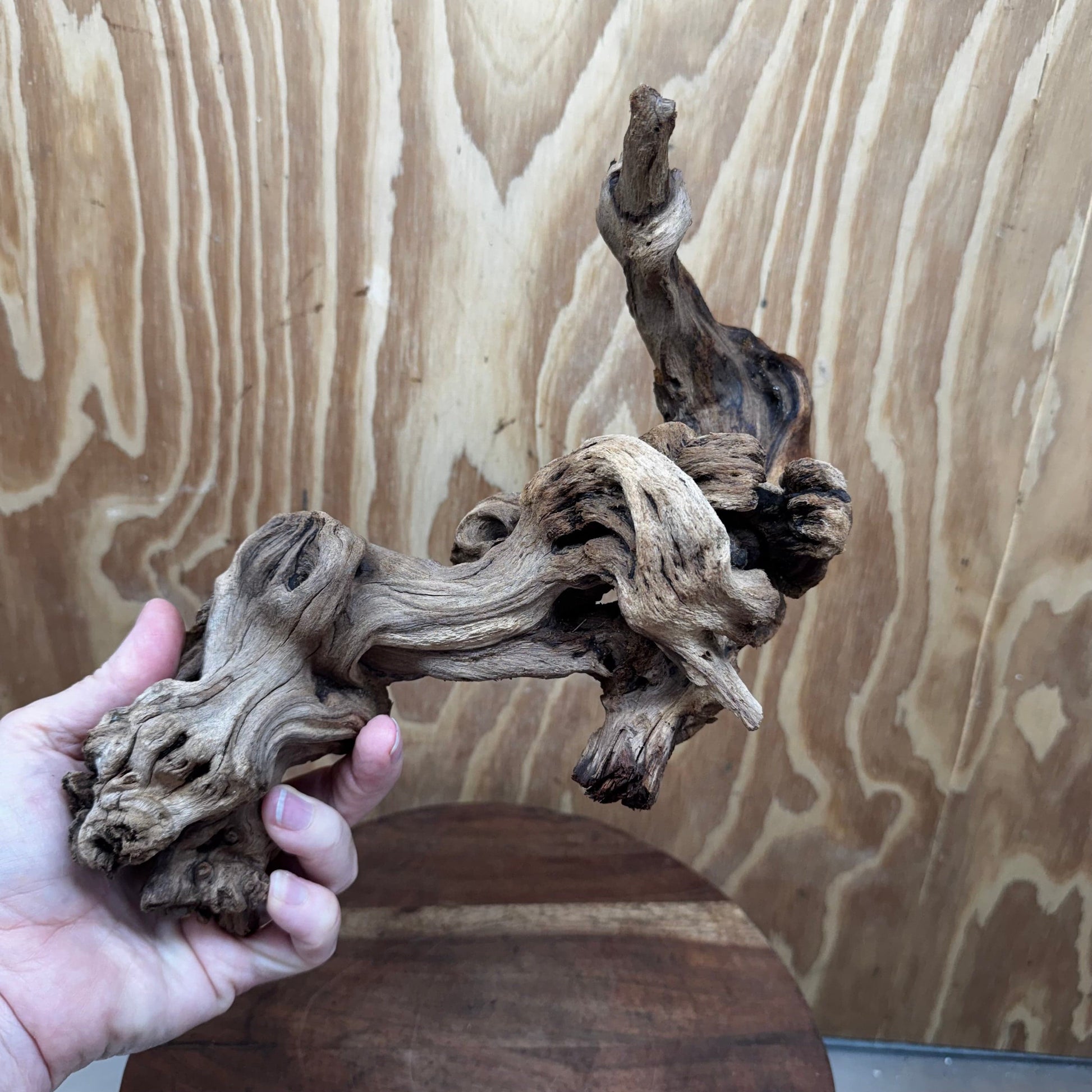 Reptile Realm Natural Wood Natural Wood Piece B