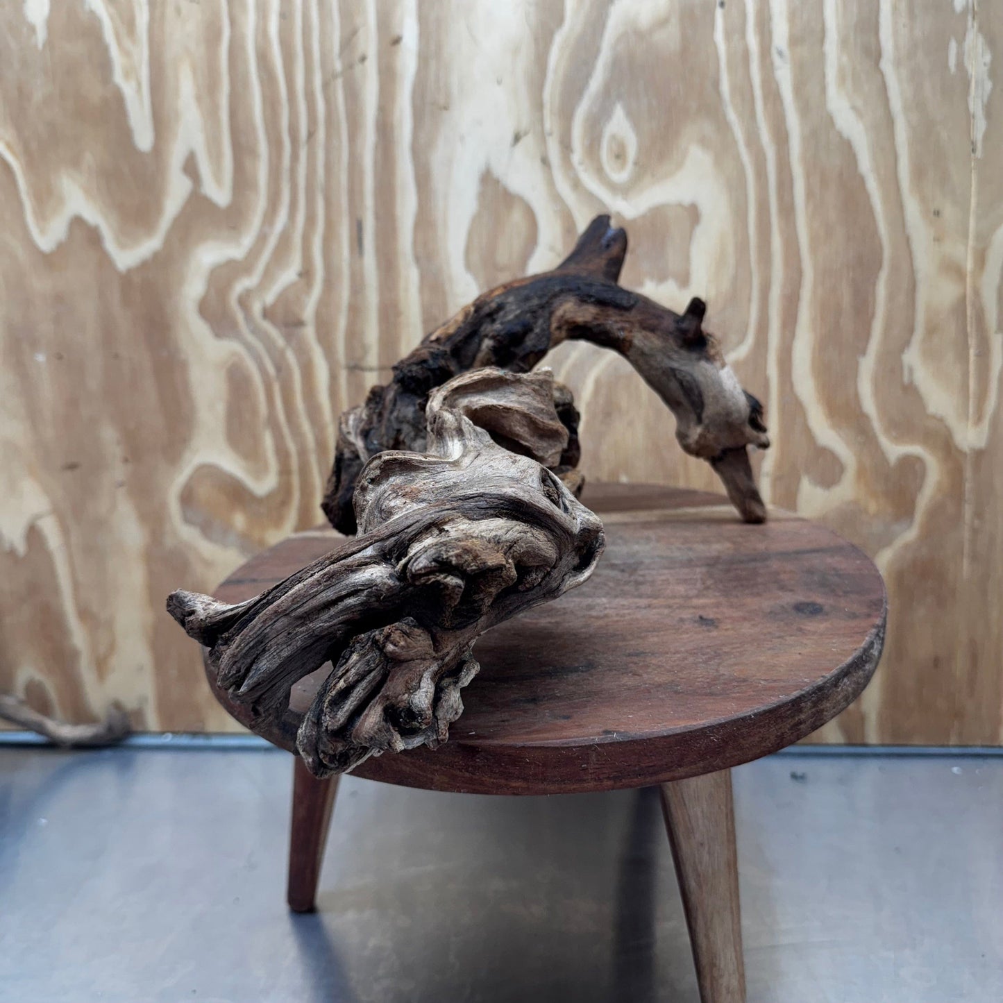 Reptile Realm Natural Wood Natural Wood Piece B