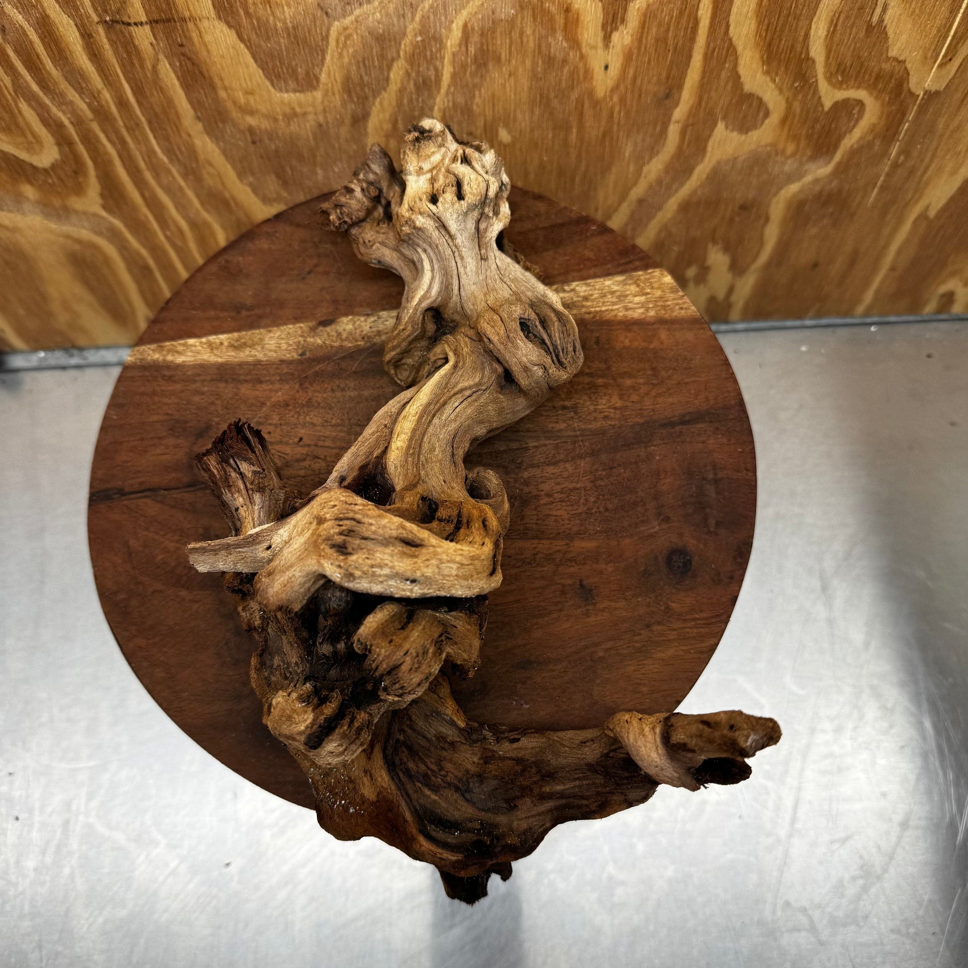 Reptile Realm Natural Wood Natural Wood Piece B