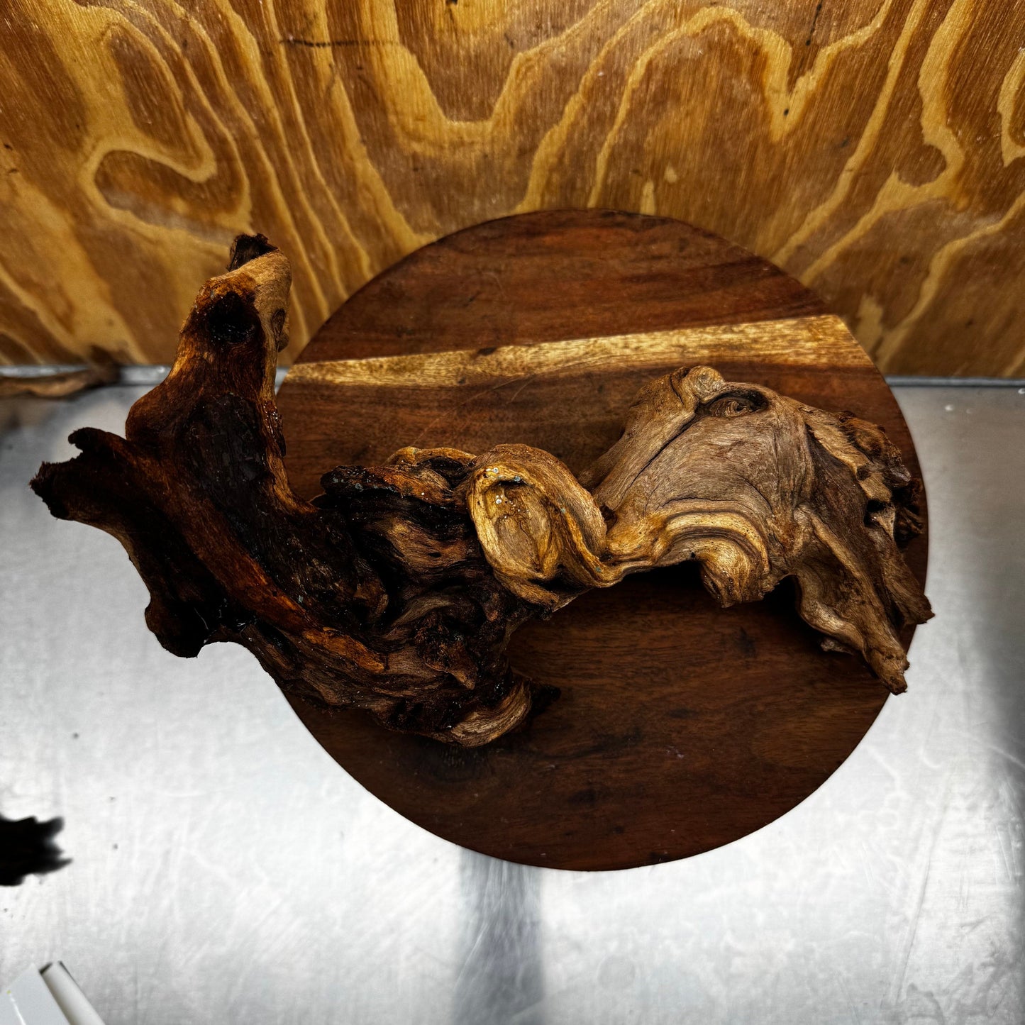 Reptile Realm Natural Wood Natural Wood Piece B