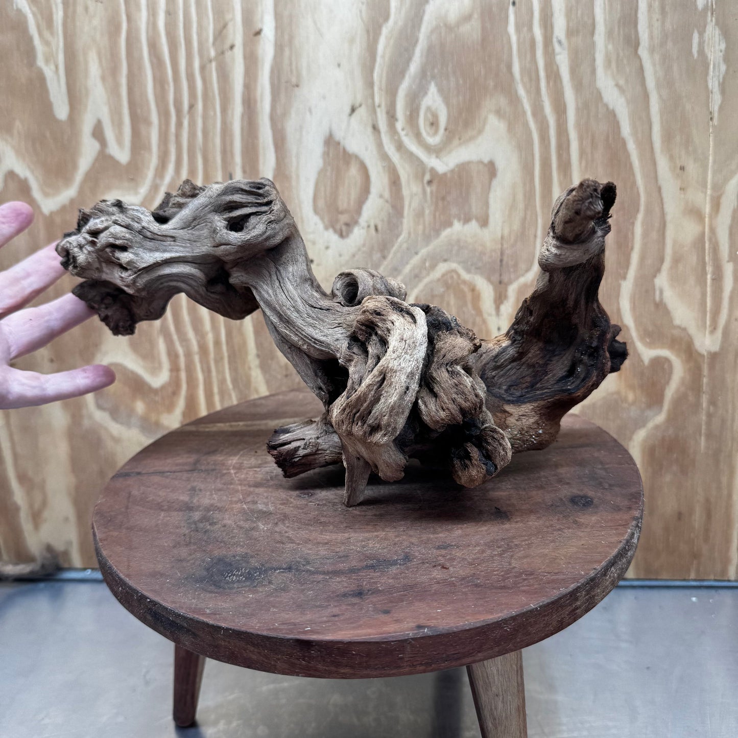 Reptile Realm Natural Wood Natural Wood Piece B