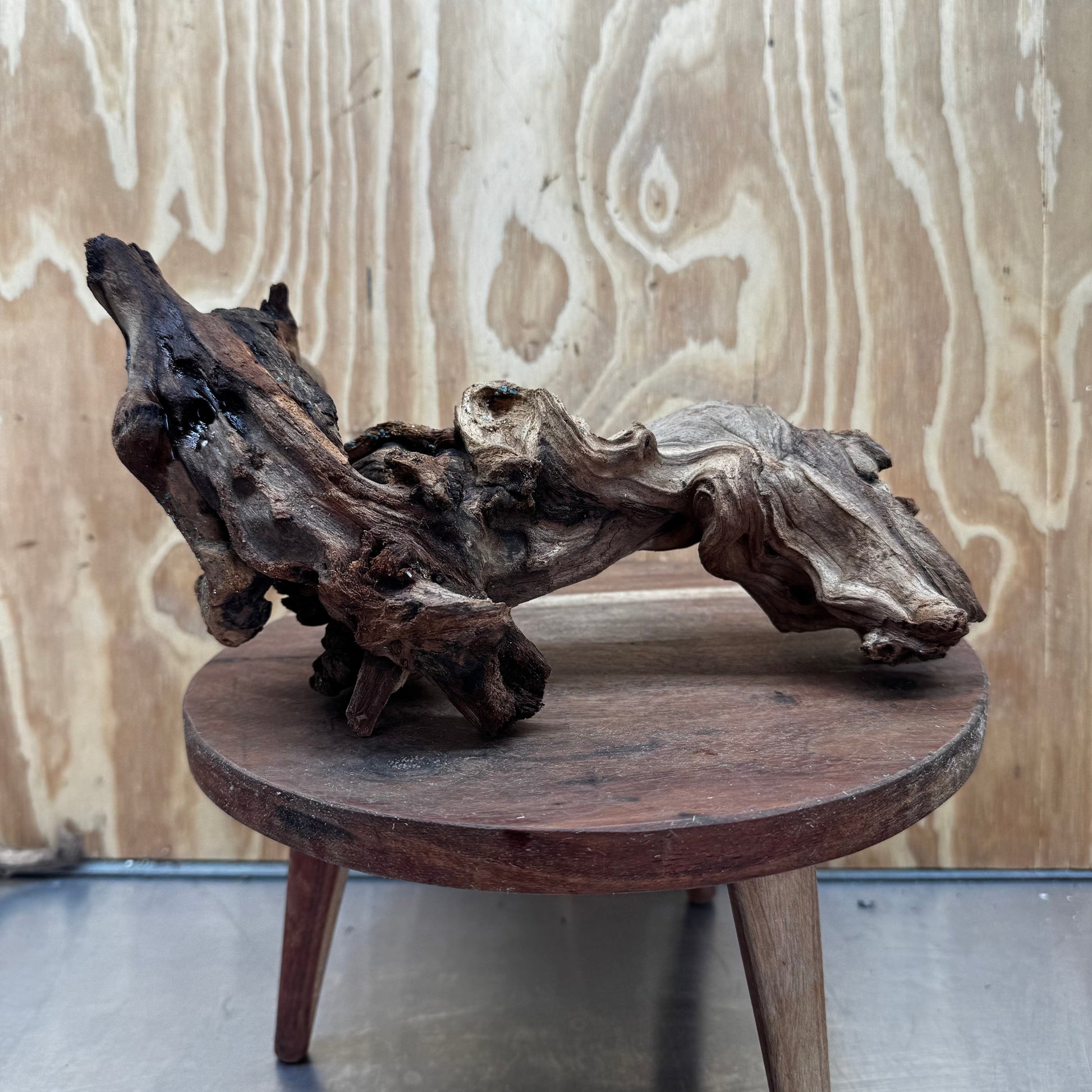 Reptile Realm Natural Wood Natural Wood Piece B