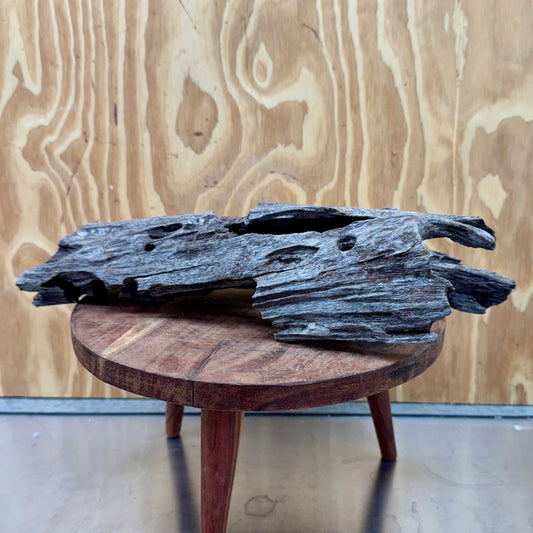 Reptile Realm Natural Wood Natural Wood Piece C