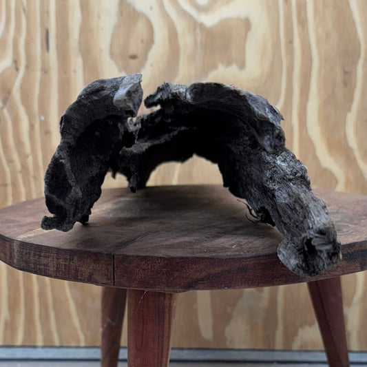 Reptile Realm Natural Wood Natural Wood Piece C