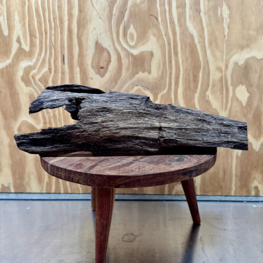 Reptile Realm Natural Wood Natural Wood Piece C
