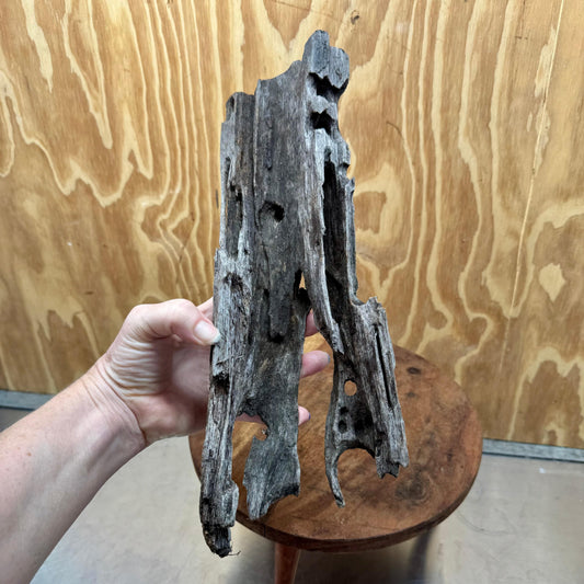 Reptile Realm Natural Wood Natural Wood Piece C