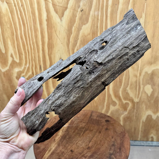 Reptile Realm Natural Wood Natural Wood Piece C