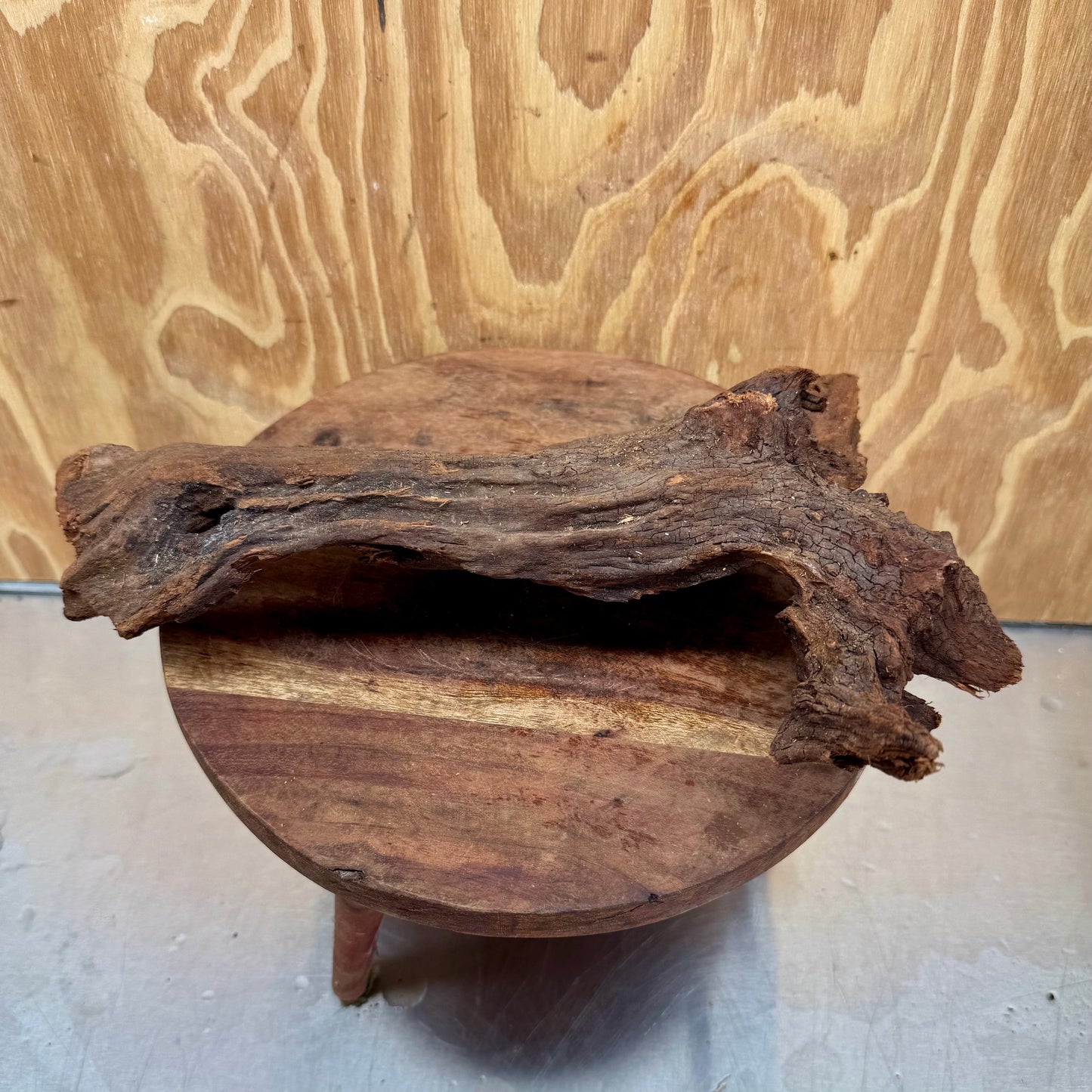 Reptile Realm Natural Wood Natural Wood Piece C