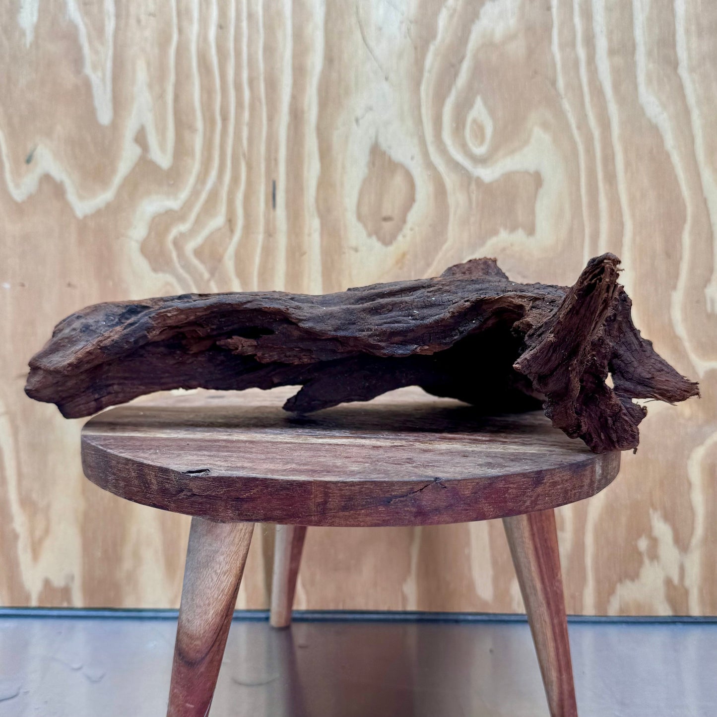 Reptile Realm Natural Wood Natural Wood Piece C