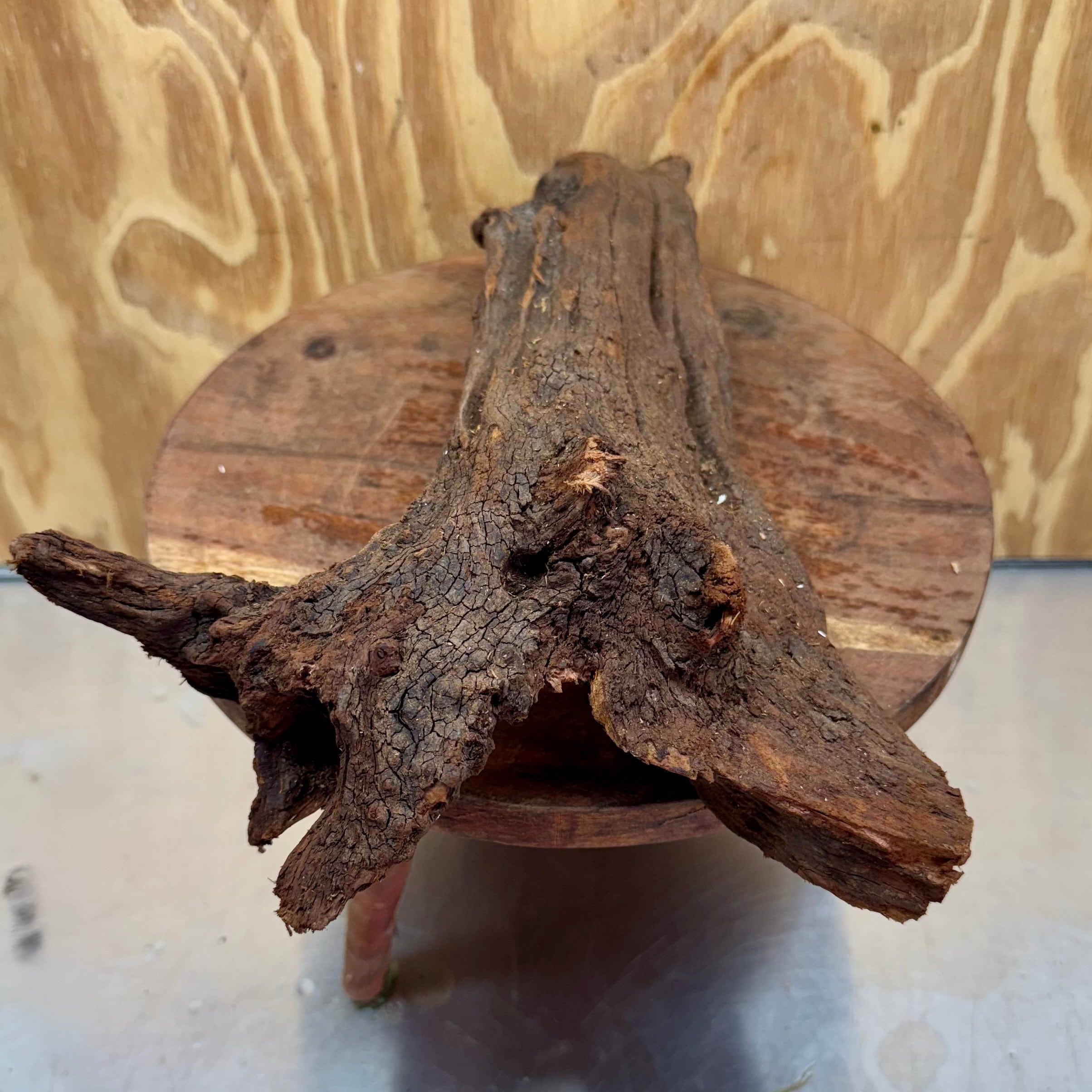 Reptile Realm Natural Wood Natural Wood Piece C