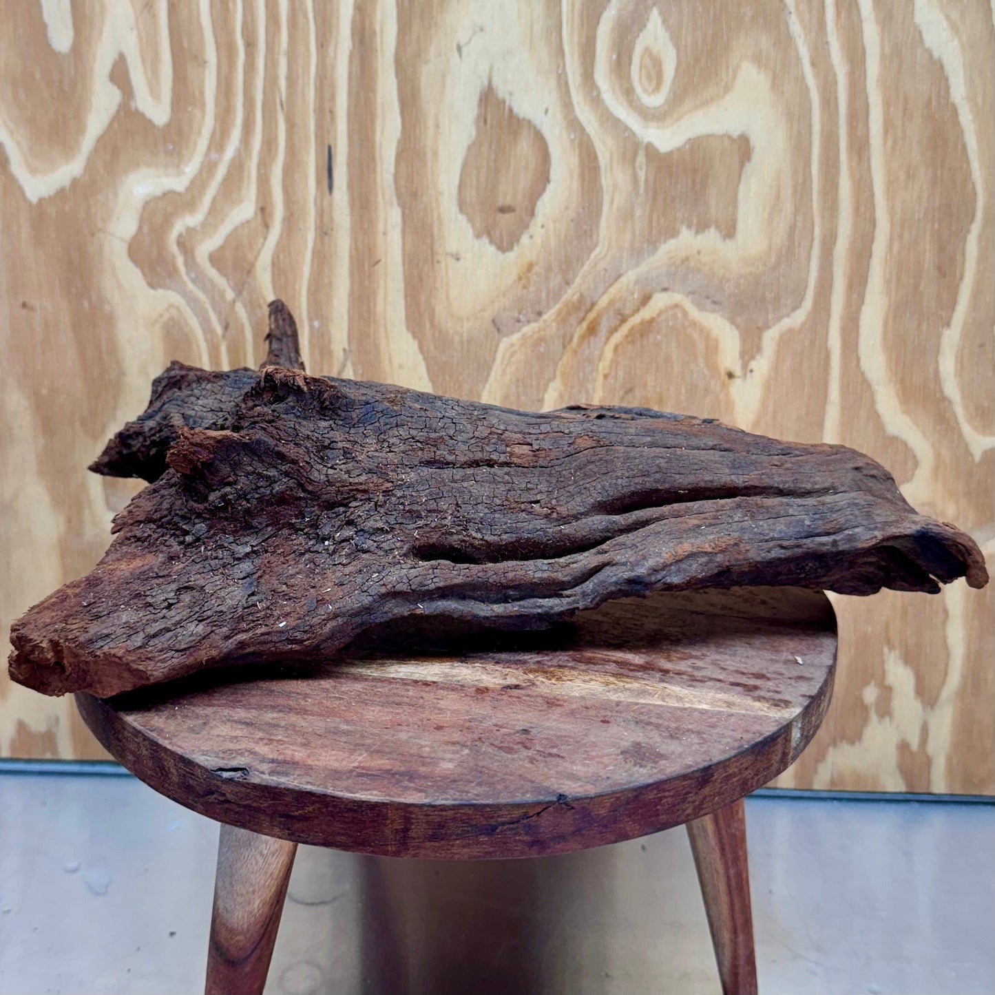 Reptile Realm Natural Wood Natural Wood Piece C