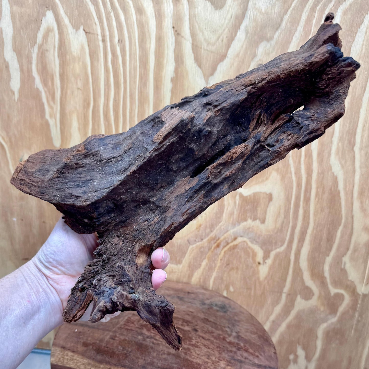Reptile Realm Natural Wood Natural Wood Piece C