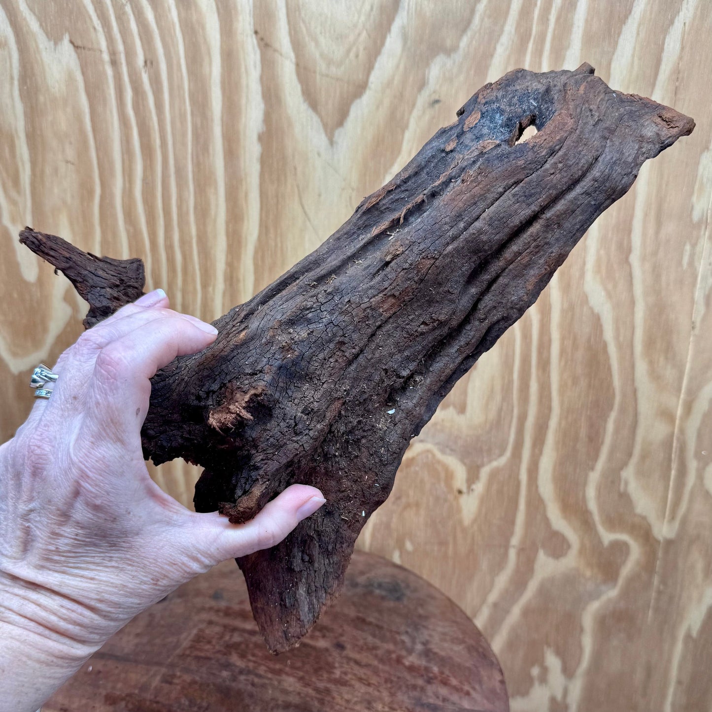 Reptile Realm Natural Wood Natural Wood Piece C