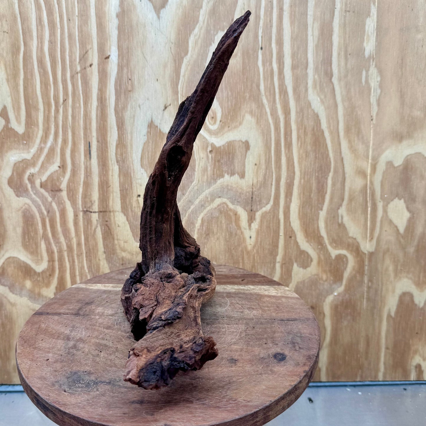 Reptile Realm Natural Wood Natural Wood Piece C