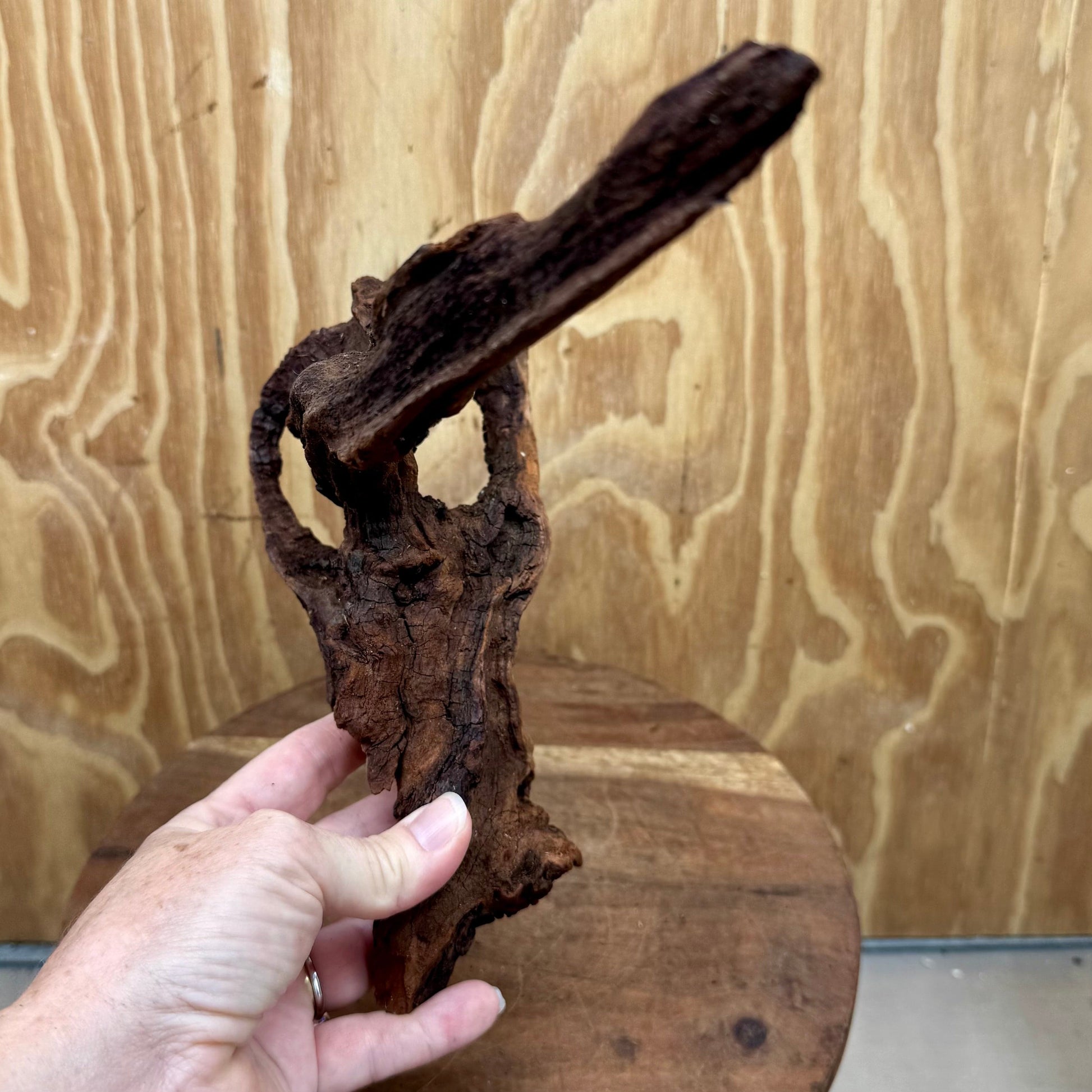 Reptile Realm Natural Wood Natural Wood Piece C