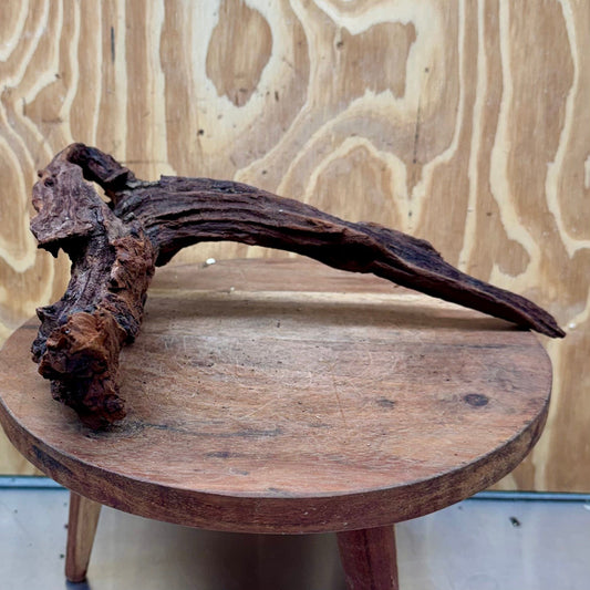 Reptile Realm Natural Wood Natural Wood Piece C