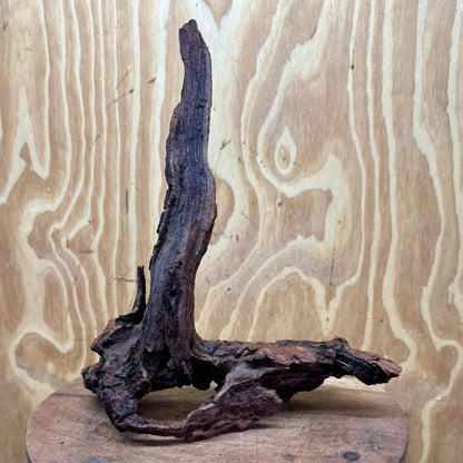 Reptile Realm Natural Wood Natural Wood Piece C