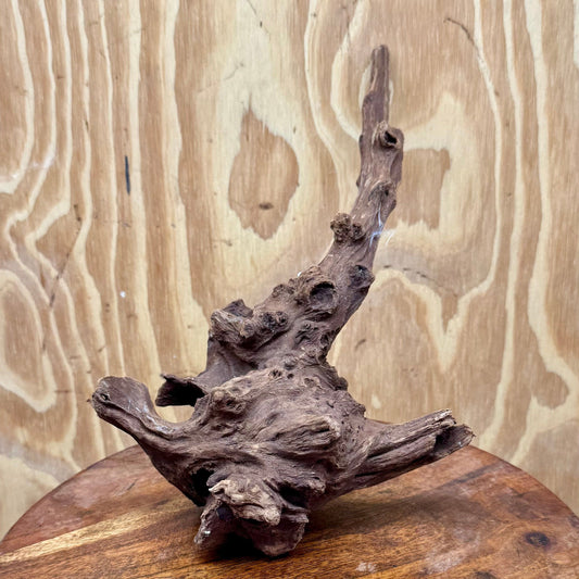 Reptile Realm Natural Wood Natural Wood Piece D