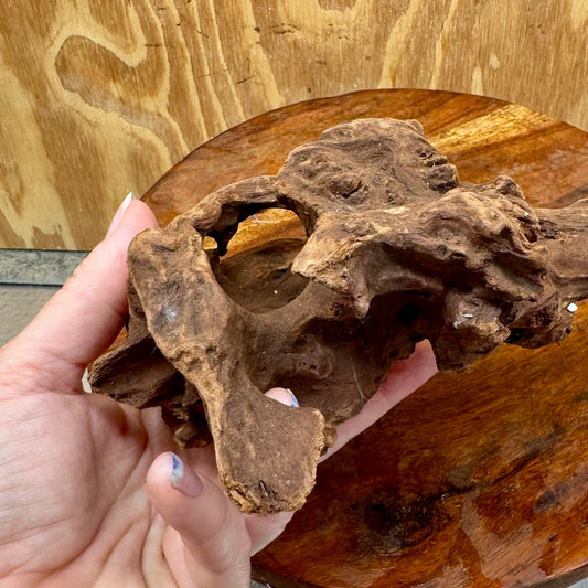 Reptile Realm Natural Wood Natural Wood Piece D