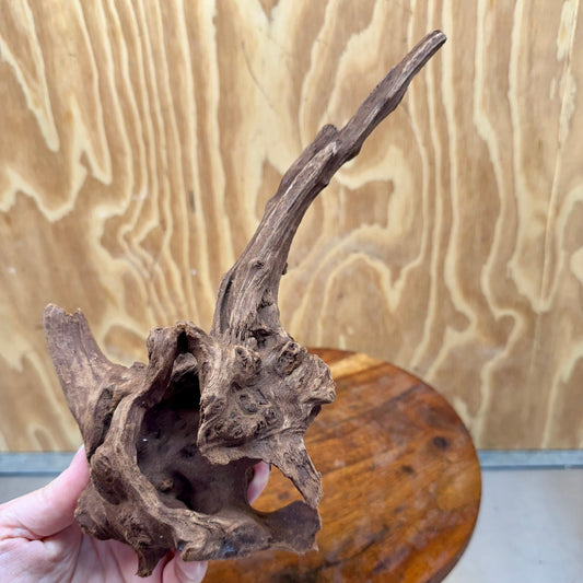 Reptile Realm Natural Wood Natural Wood Piece D