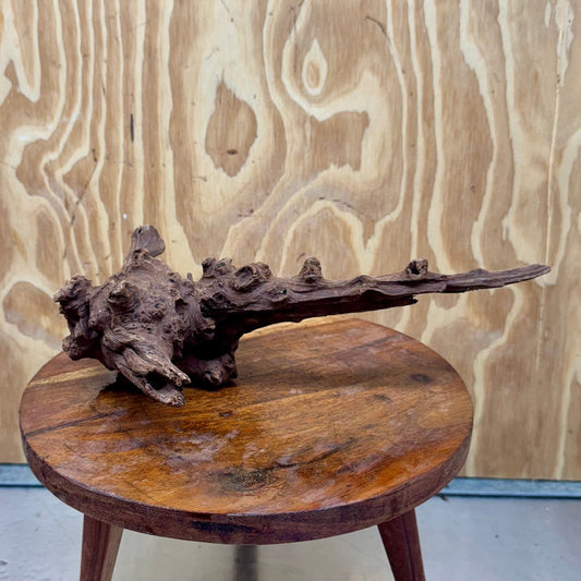 Reptile Realm Natural Wood Natural Wood Piece D