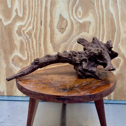 Reptile Realm Natural Wood Natural Wood Piece D