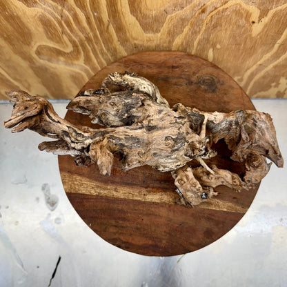 Reptile Realm Natural Wood Natural Wood Piece D