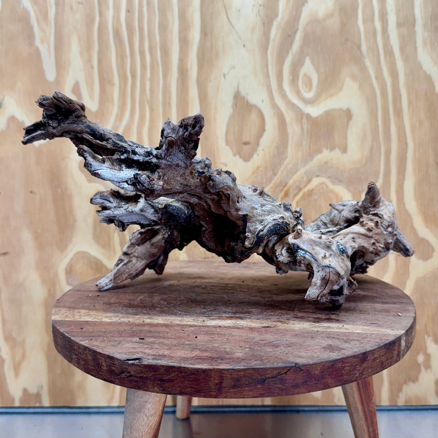 Reptile Realm Natural Wood Natural Wood Piece D