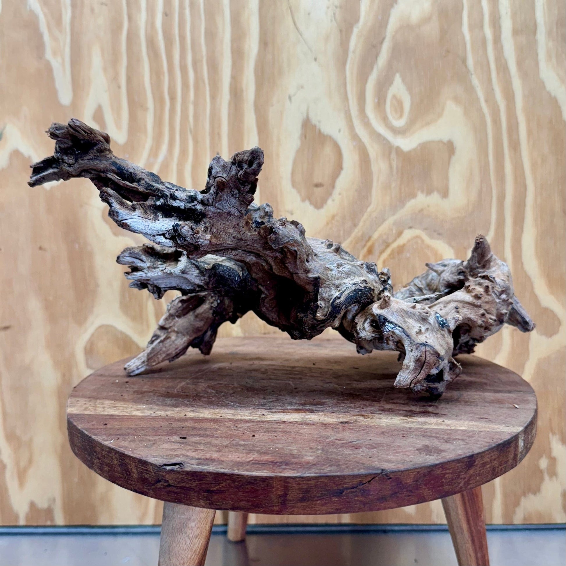 Reptile Realm Natural Wood Natural Wood Piece D
