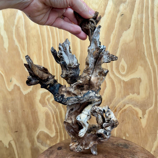 Reptile Realm Natural Wood Natural Wood Piece D