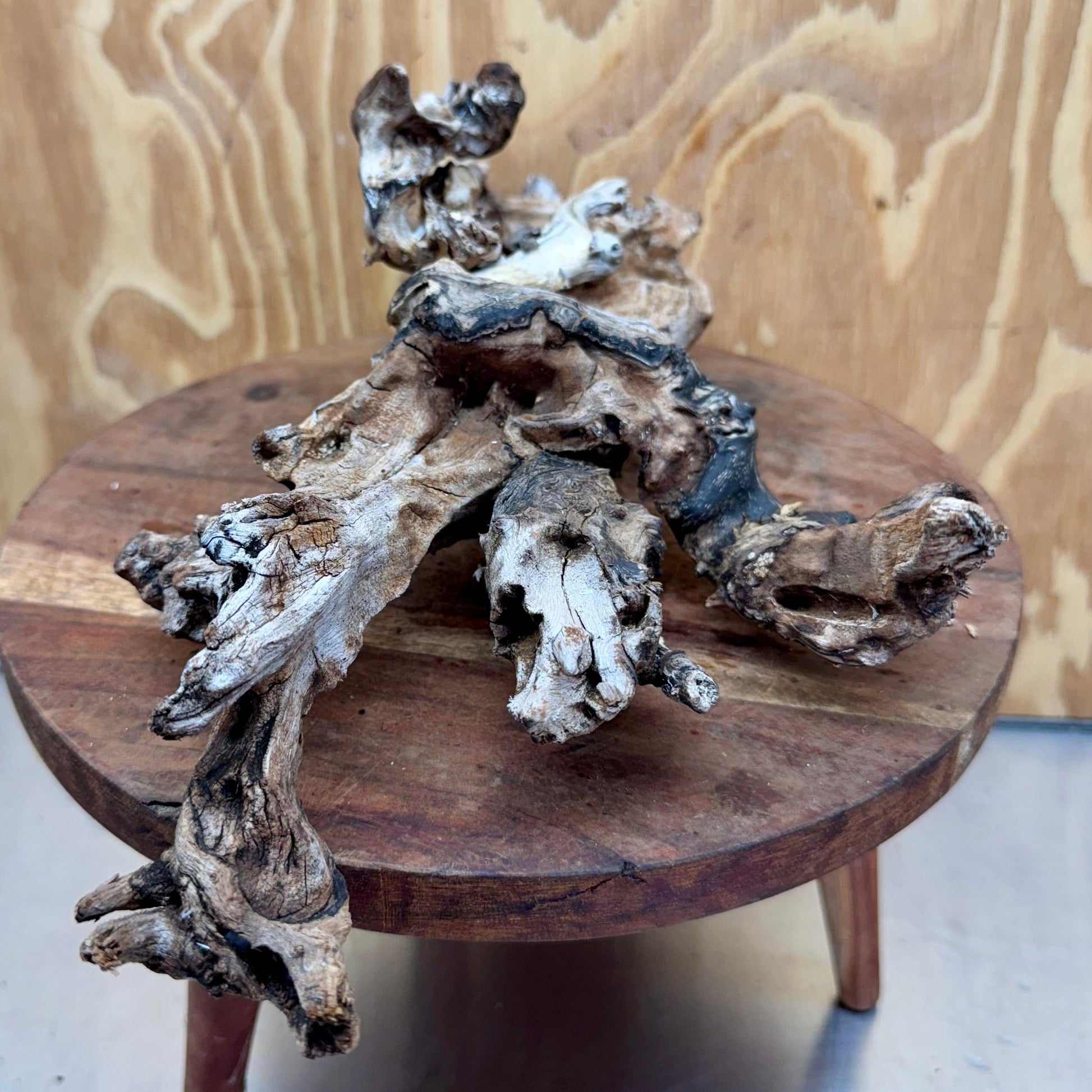 Reptile Realm Natural Wood Natural Wood Piece D