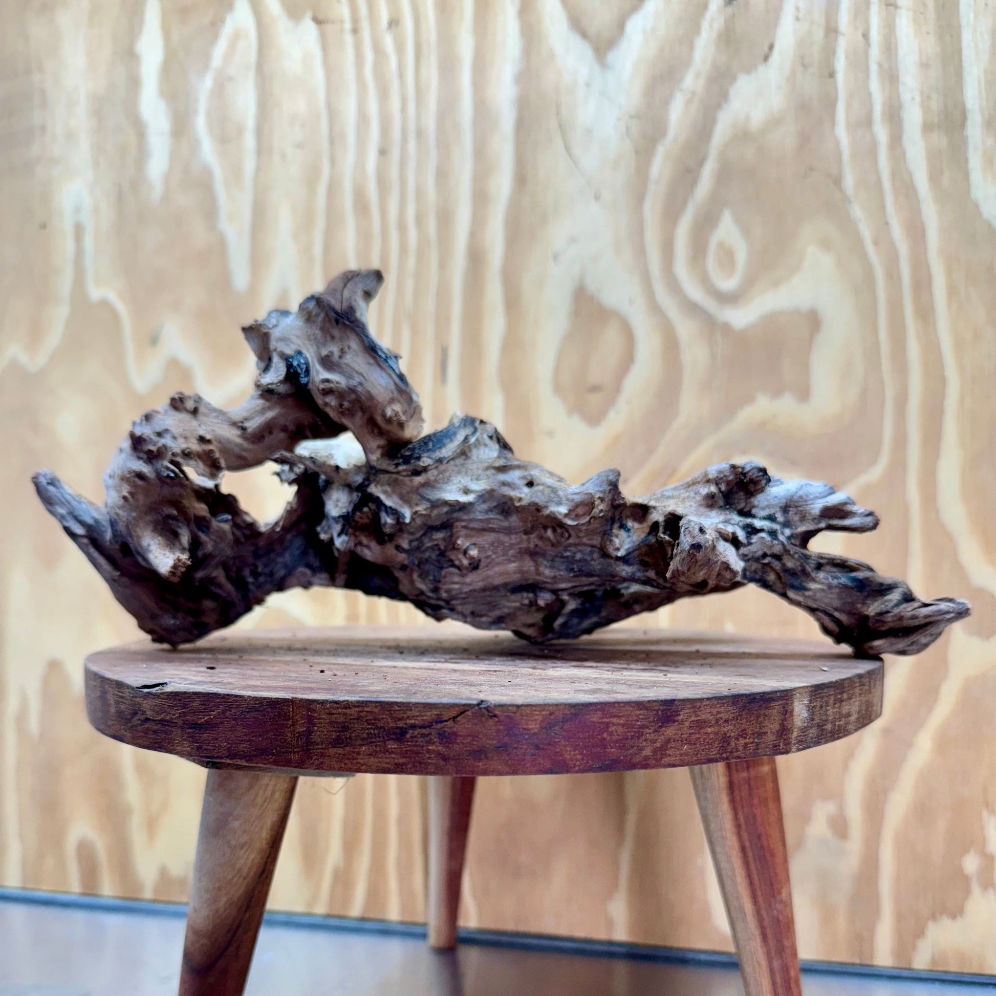 Reptile Realm Natural Wood Natural Wood Piece D