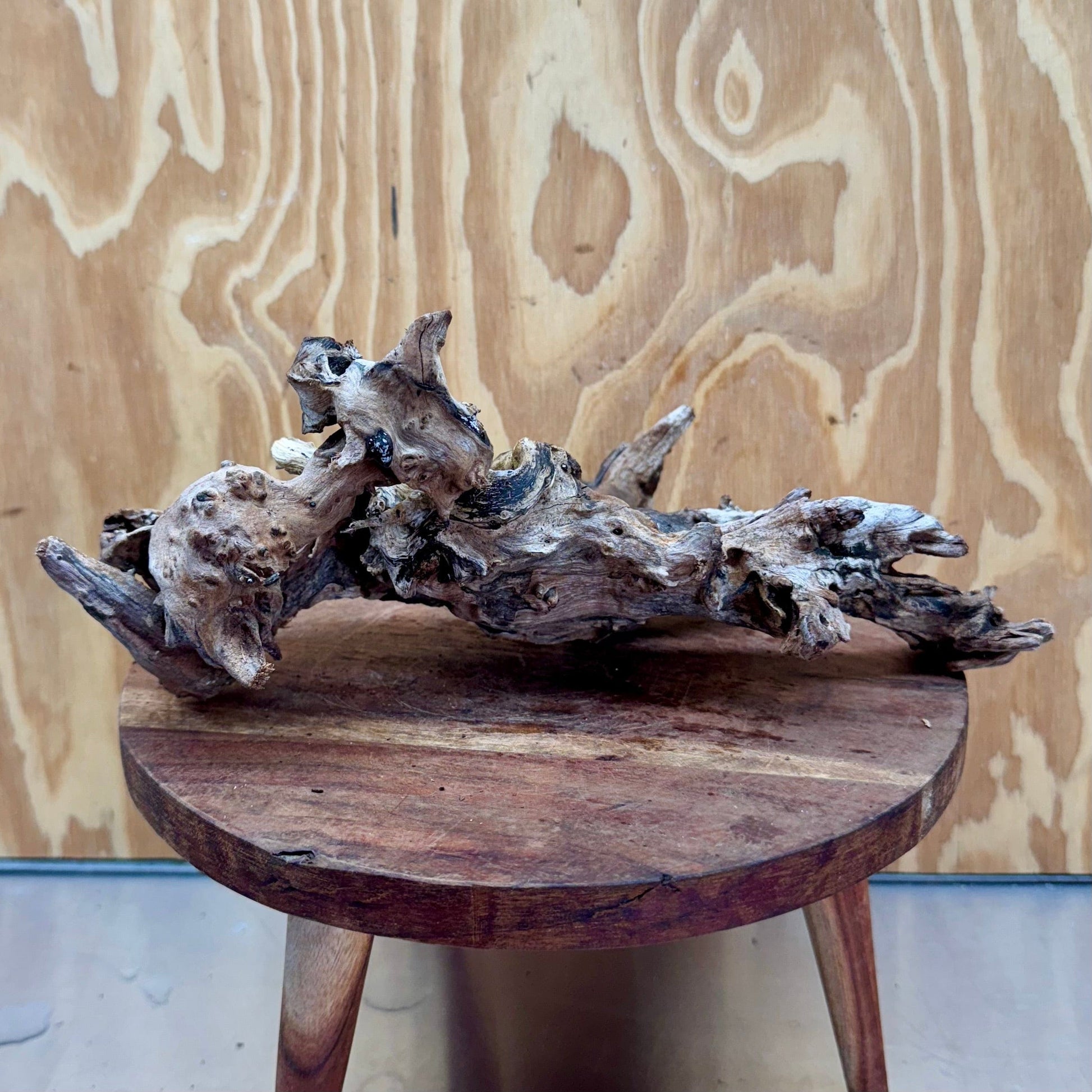 Reptile Realm Natural Wood Natural Wood Piece D