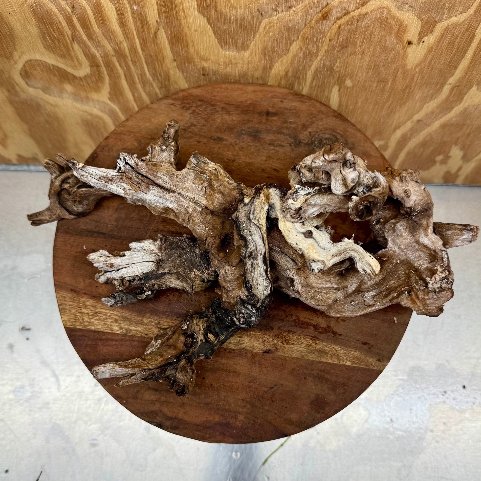 Reptile Realm Natural Wood Natural Wood Piece D