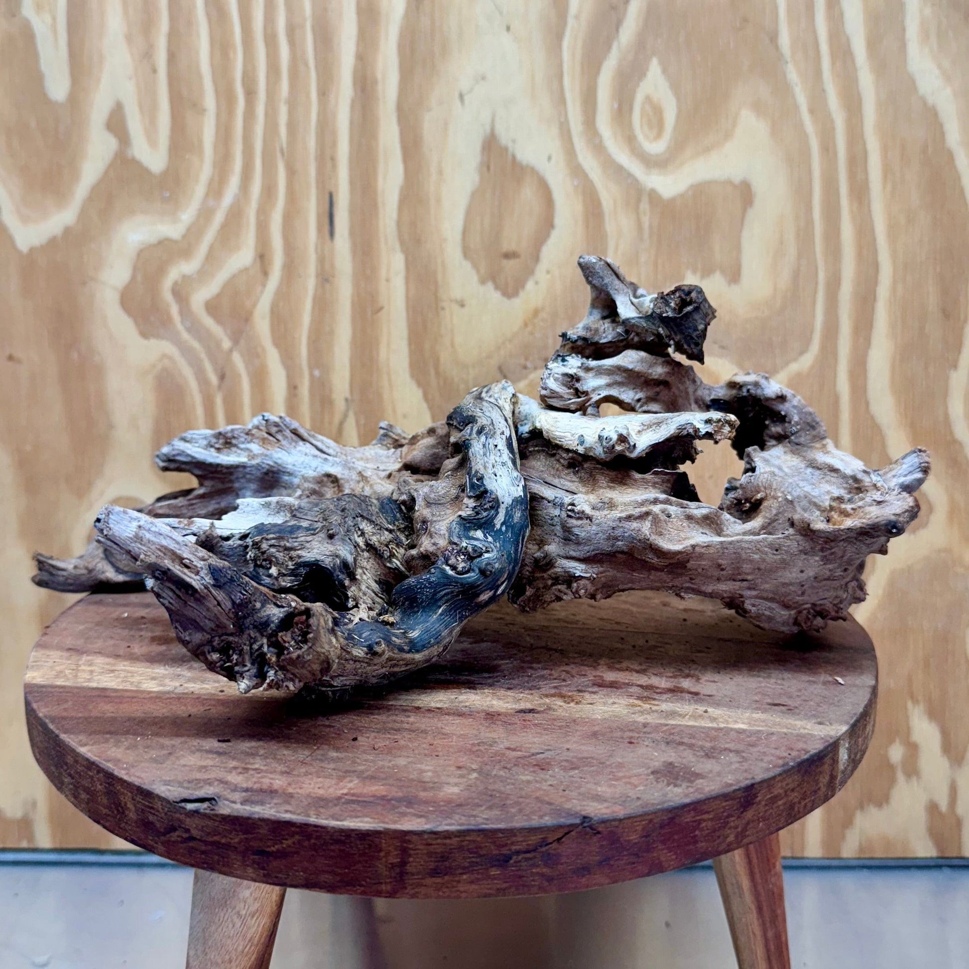 Reptile Realm Natural Wood Natural Wood Piece D