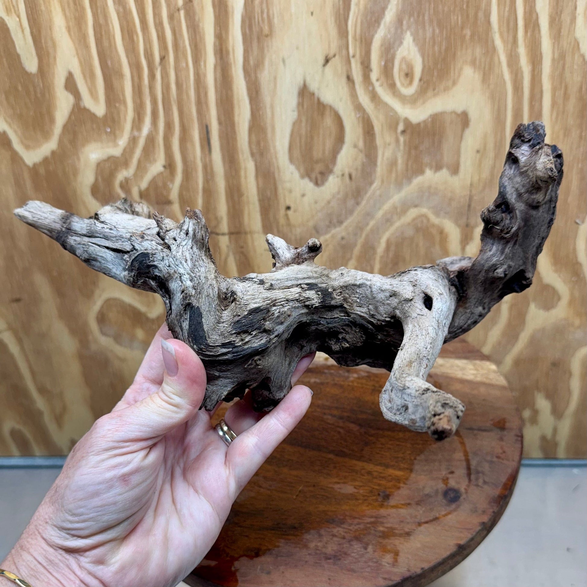 Reptile Realm Natural Wood Natural Wood Piece D