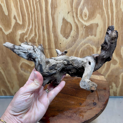 Reptile Realm Natural Wood Natural Wood Piece D