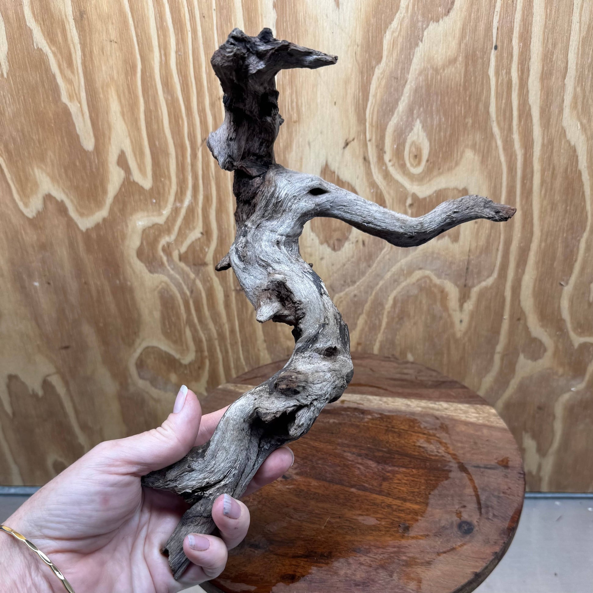 Reptile Realm Natural Wood Natural Wood Piece D