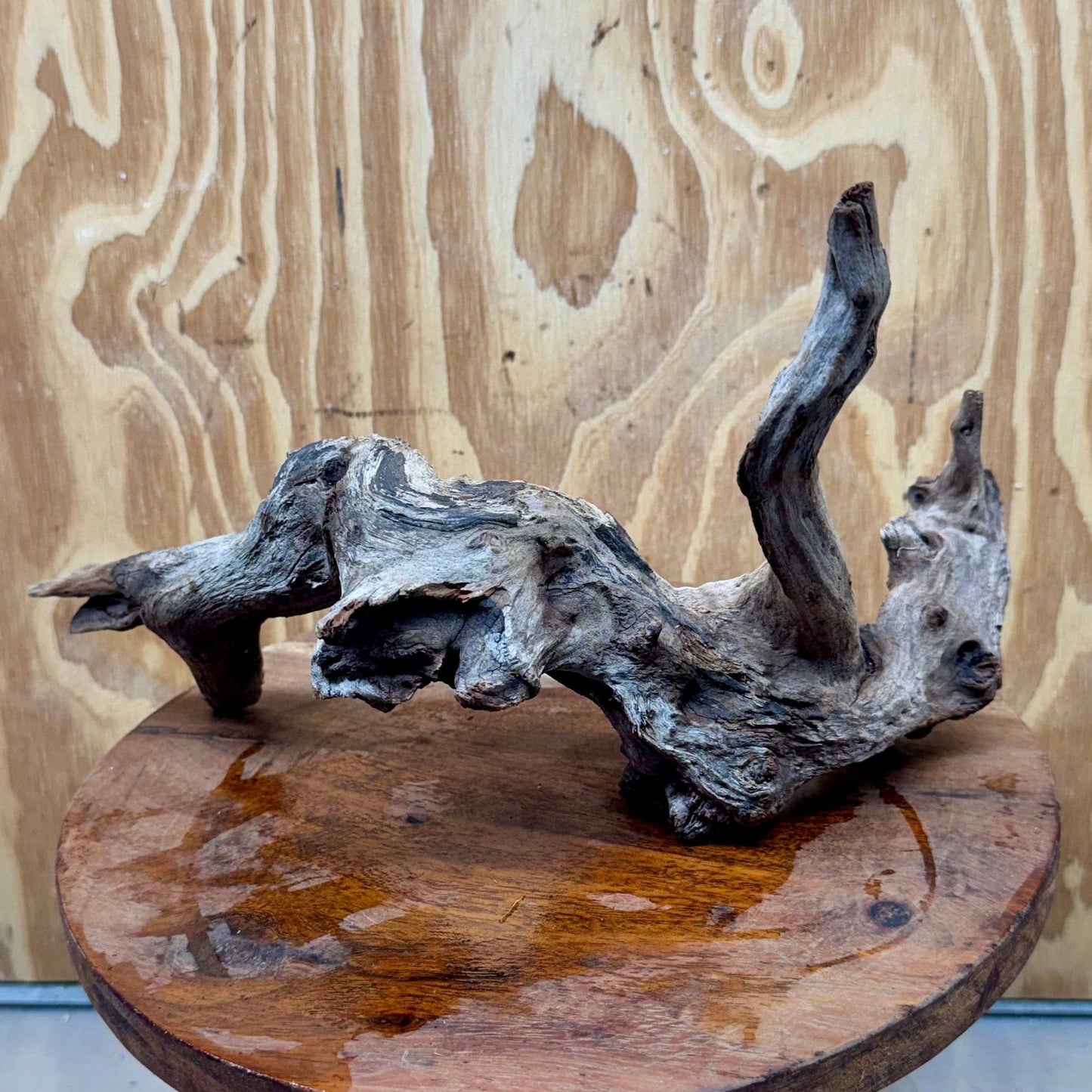 Reptile Realm Natural Wood Natural Wood Piece D