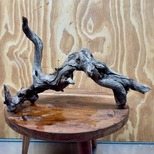 Reptile Realm Natural Wood Natural Wood Piece D