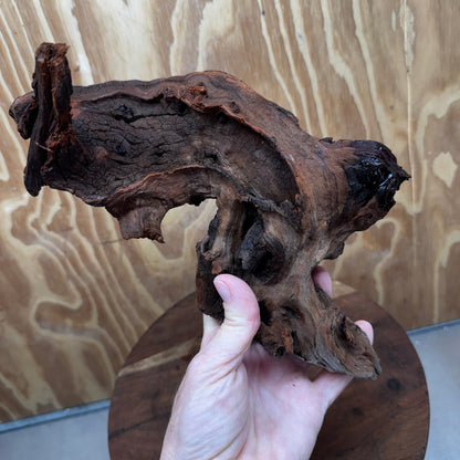 Reptile Realm Natural Wood Natural Wood Piece D