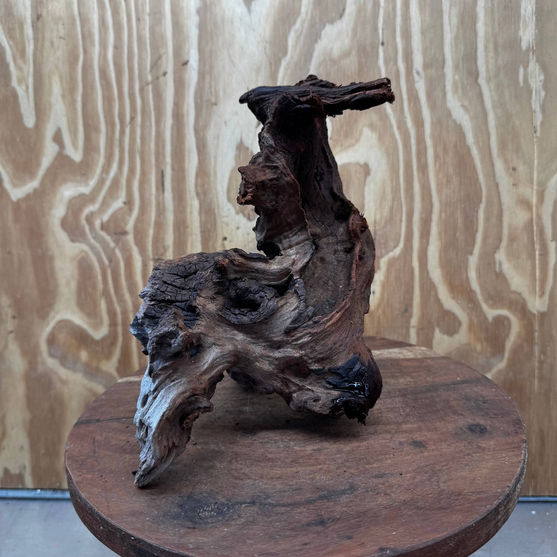 Reptile Realm Natural Wood Natural Wood Piece D