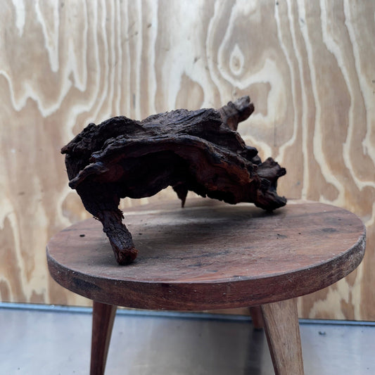 Reptile Realm Natural Wood Natural Wood Piece D