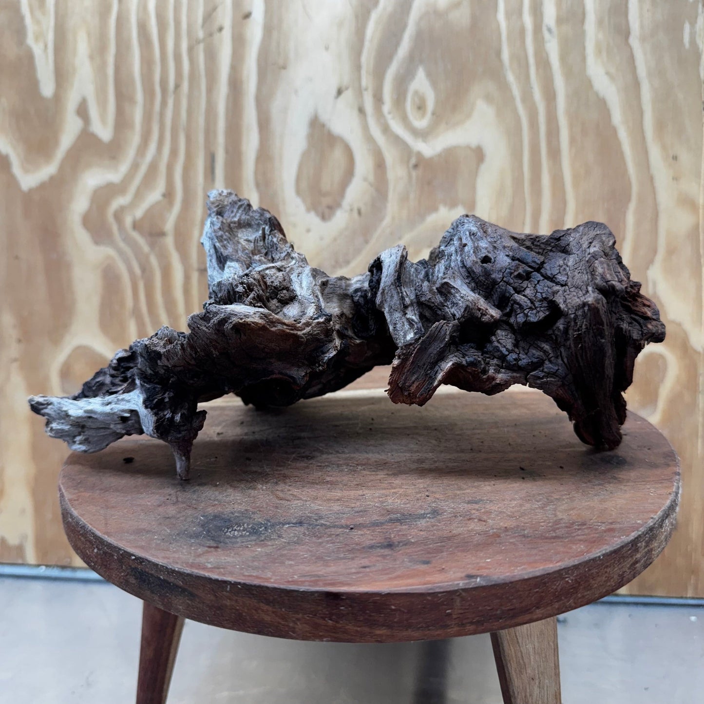 Reptile Realm Natural Wood Natural Wood Piece D