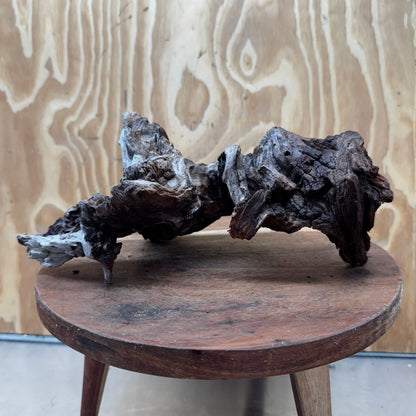 Reptile Realm Natural Wood Natural Wood Piece D