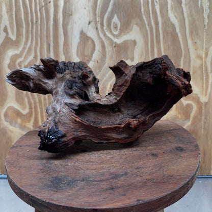 Reptile Realm Natural Wood Natural Wood Piece D