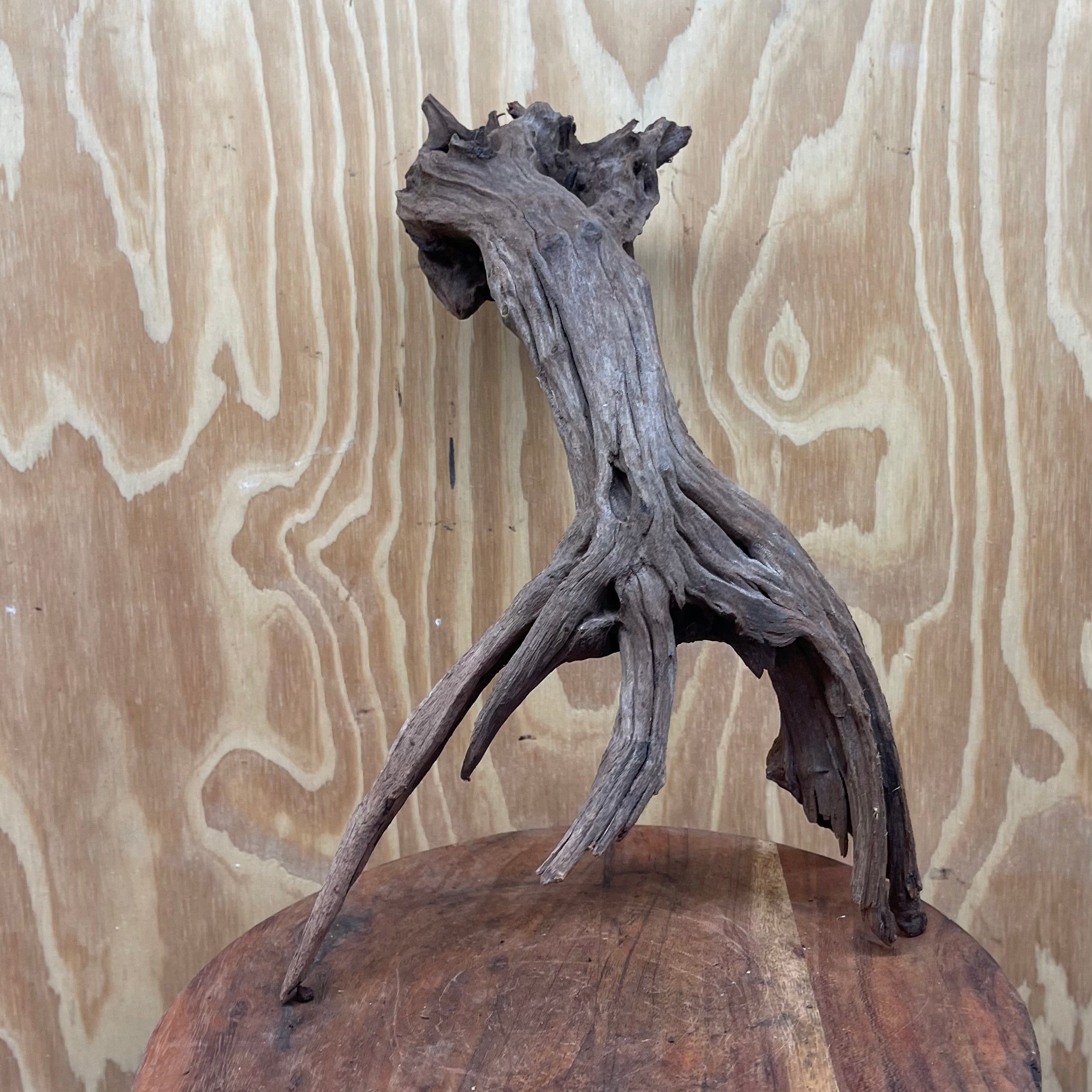 Reptile Realm Natural Wood Natural Wood Piece D