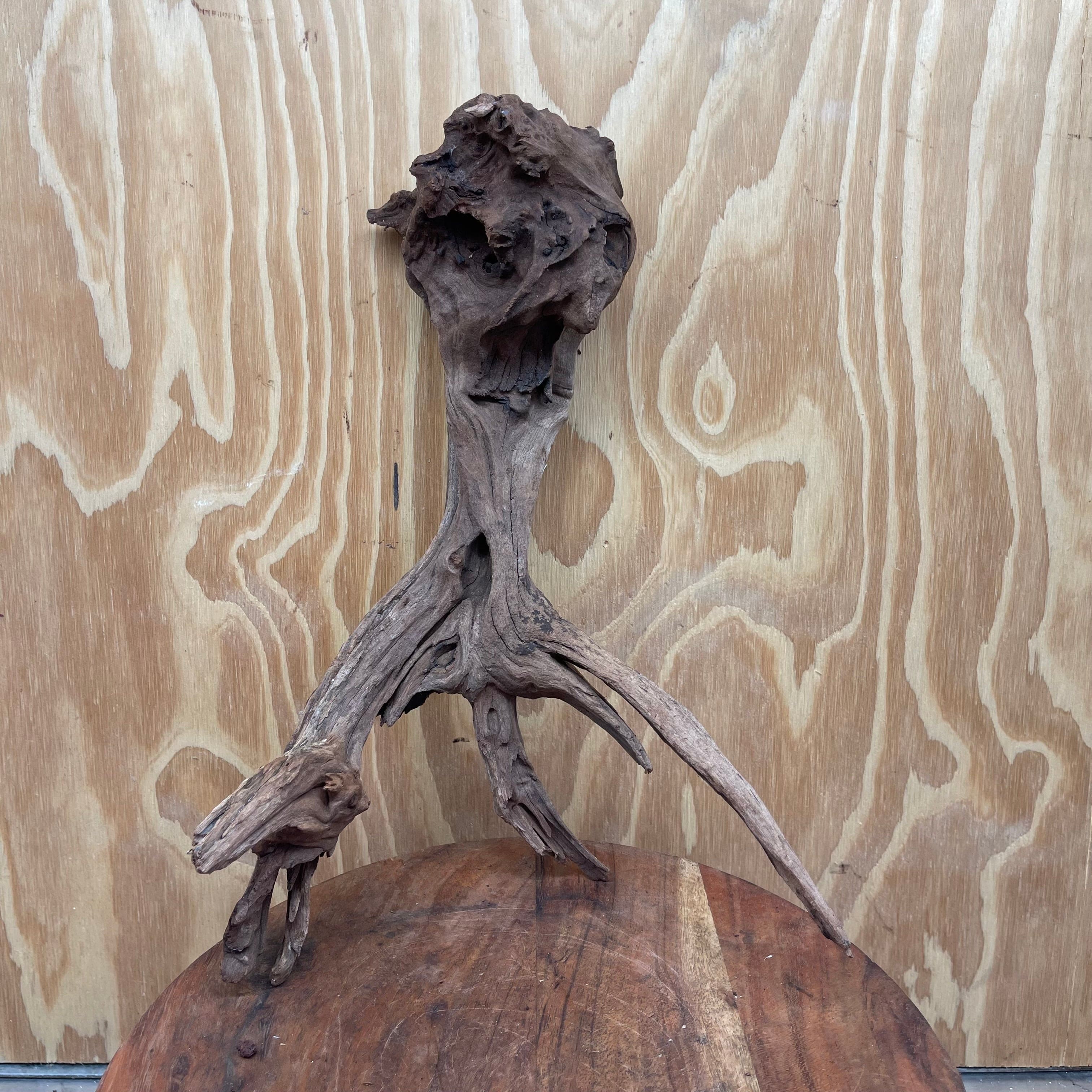 Reptile Realm Natural Wood Natural Wood Piece D